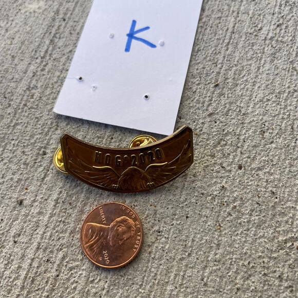 Harley Davidson HOG Pin 2020 - Picture 9 of 10